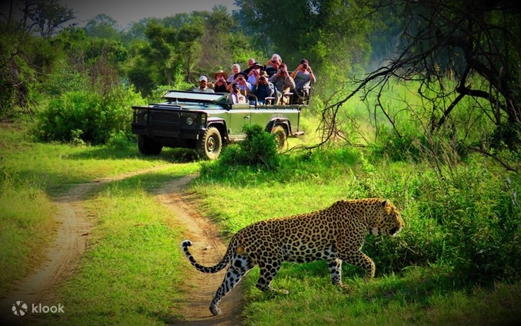 Pashupatinath Temple complex